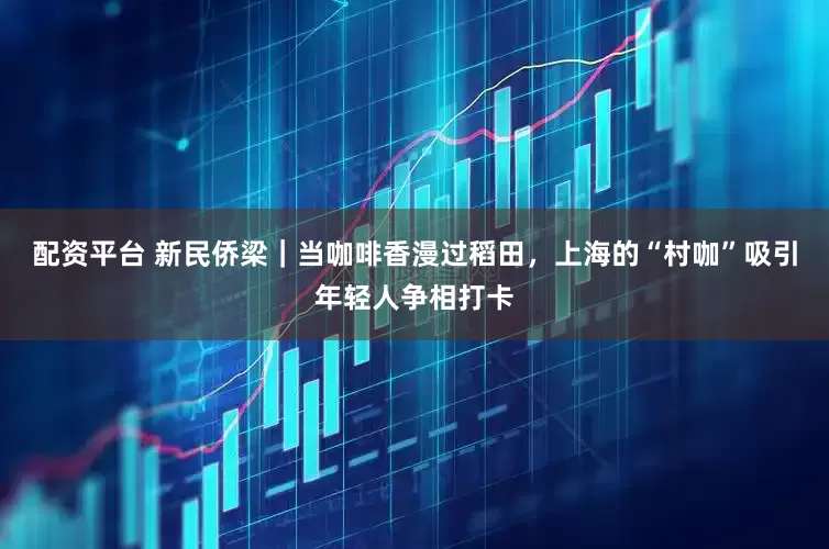 配资平台 新民侨梁｜当咖啡香漫过稻田，上海的“村咖”吸引年轻人争相打卡