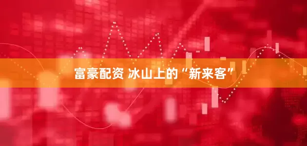 富豪配资 冰山上的“新来客”