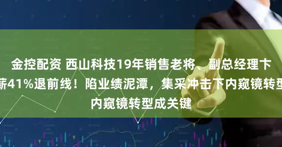 金控配资 西山科技19年销售老将、副总经理卞奔奔降薪41%退前线！陷业绩泥潭，集采冲击下内窥镜转型成关键
