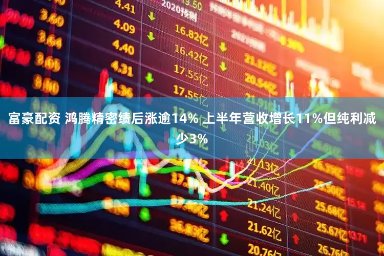 富豪配资 鸿腾精密绩后涨逾14% 上半年营收增长11%但纯利减少3%