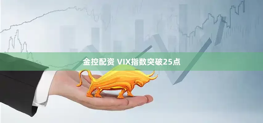 金控配资 VIX指数突破25点